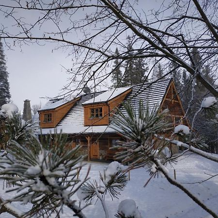 Chata Baba Yaga Villa Ždiar Exterior foto